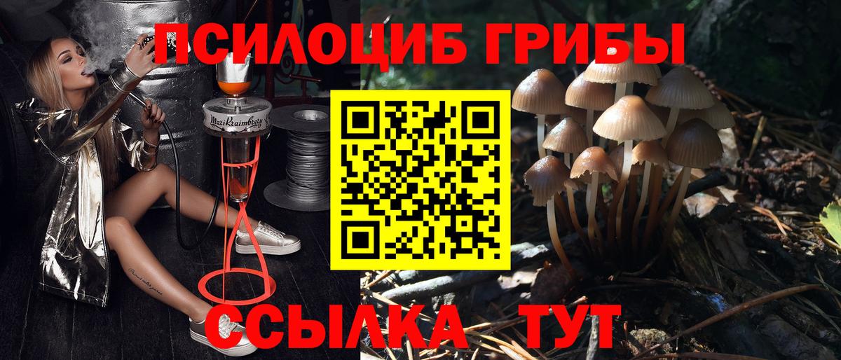 Галлюциногенные грибы Psilocybine cubensis  Вход с VPN  Сертолово 